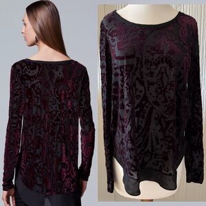 Simply Vera Vera Wang Velvet Burnout Top Chiffon Hem Long Sleeves Size Small